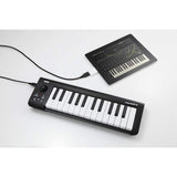 Korg microKEY 25 USB MIDI Keyboard