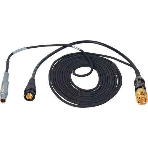 Laird Digital Cinema LEMO 5-Pin to BNC Input & Output Cable for Timecode Jamming (1')