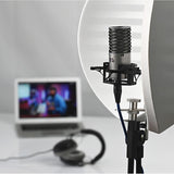 Aston Microphones Halo Reflection Filter White Bundle with Auray Reflection Filter/tripod Micstand