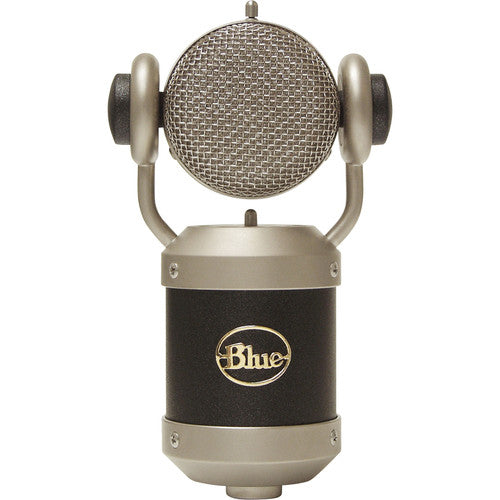 Blue Mouse Microphone