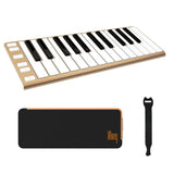 CME Xkey 25 USB MIDI Controller - Champagne with CME Supernova Xkey Carrying Case & 10-Pack Straps Bundle