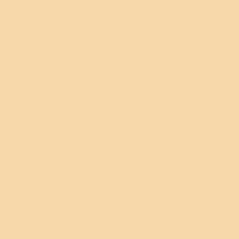 Widetone Seamless Background Paper (#25 Beige, 107" x 36')