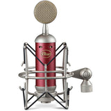 Blue Spark SL Large-Diaphragm Studio Condenser Microphone with XLR Cable and Pop Filter Bundle