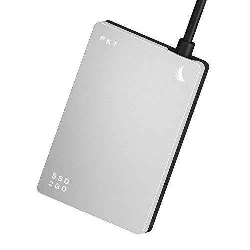 Angelbird SSD2go PKT 256GB External Solid State Drive, USB 3.1 Type-C, 560MB/s Read, 460MB/s Write, Silver