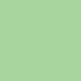 Savage Widetone Seamless Background Paper (#40 Mint Green, 107" x 36')
